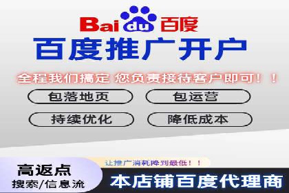 百度竞价推广实战：案例分析与优化策略